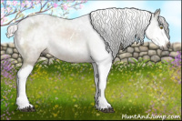 Horse Color:Gray White Spotted Silver Brown Dun Sabino Splash Appaloosa Brindle