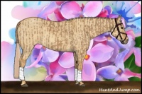 Horse Color:Palomino and Palomino Dun