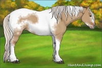 Horse Color:Silver Bay Dun Sabino Tobiano Frame Rabicano 
