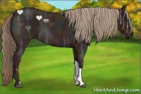 Horse Color:Midnight Red Ice Roan 