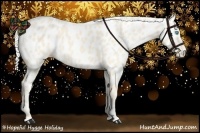 Horse Color:Cremello Near Leopard 