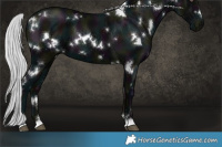Horse Color:White Spotted Midnight Silver Black Chinchilla 