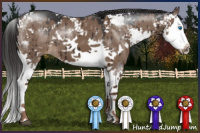 Horse Color:Liver Red Dun Sabino Splash Brindle 