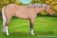 Horse Color:Silver Bay Roan 
