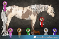 Horse Color:Silver Grullo  and Silver Smoky Grullo Pearl 