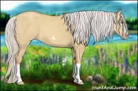 Horse Color:Silver Classic Champagne Dun Splash Frame 