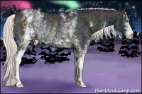 Horse Color:White Spotted Midnight Silver Classic Champagne Ice Dun Rabicano 
