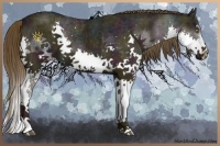 Horse Color:Midnight Liver Chestnut Ice Sabino Splash 