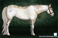 Horse Color:White Spotted Silver Bay Dun Frame