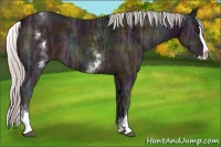 Horse Color:White Spotted Midnight Silver Brown Ice Splash