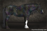 Horse Color:Midnight Black Ice