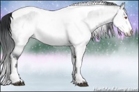 Horse Color:Buckskin Chinchilla Ice Sabino Tobiano 