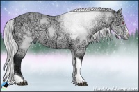 Horse Color:Silver Buckskin Chinchilla Ice Sabino Tobiano 