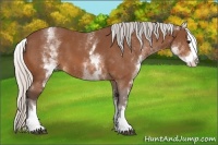 Horse Color:White Spotted Silver Bay Splash 