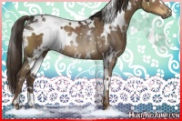 Horse Color:White Spotted Liver Chestnut Rabicano