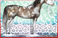 Horse Color:White Spotted Liver Chestnut Splash Rabicano