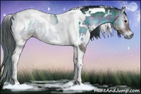 Horse Color:Plaid  White Spotted Brown Onyx Tobiano 