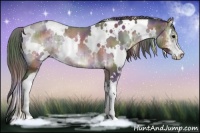 Horse Color:Nacre White Spotted Brown Onyx Sabino 