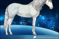 Horse Color:Silver Classic Champagne Chinchilla Ice Dun Splash Frame