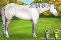 Horse Color:Gray Amber Champagne 