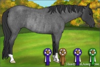 Horse Color:Blue Roan Rabicano
