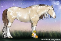 Horse Color:White Spotted Brown Pearl Dun Splash Rabicano