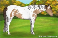 Horse Color:White Spotted Sable Champagne Tobiano Varnish