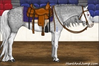 Horse Color:Silver Grullo Chinchilla Splash 