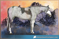 Horse Color:Midnight Liver Red Dun Ice Tobiano and Gray Midnight Silver Grullo Ice Roan Splash