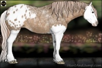 Horse Color:Chocolate Palomino Ice Splash Varnish 