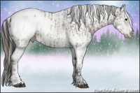 Horse Color:White Spotted Brown Ice Dun Splash Appaloosa  and Liver Red Dun Ice Roan Splash Appaloosa Rabicano 