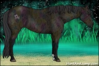 Horse Color:Midnight Bay Ice Dun 