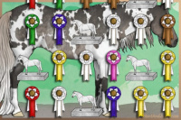 Horse Color:Gray White Spotted Silver Black Rabicano 