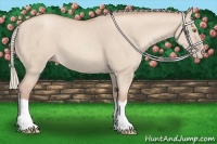 Horse Color:Silver Classic Champagne Dun Splash Frame 