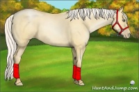 Horse Color:Silver Classic Champagne Pearl Dun Frame 