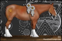 Horse Color:Bay Sabino