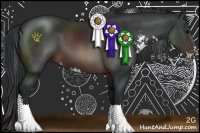 Horse Color:Brown Sabino 