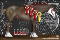 Horse Color:Liver Chestnut Sabino