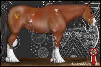 Horse Color:Bay Sabino 