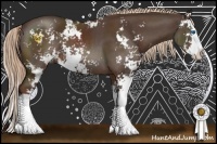 Horse Color:Liver Chestnut Sabino Splash