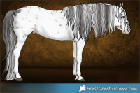 Horse Color:White Spotted Liver Chestnut Sabino Blanket  and White Spotted Liver Chestnut Sabino 