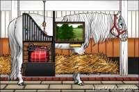 Horse Color:Smoky Blue Roan Tobiano Appaloosa Rabicano 