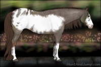 Horse Color:Liver Red Roan Frame Blanket 