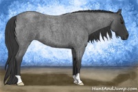 Horse Color:Smoky Blue Roan