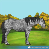 Horse Color:Black Ice 