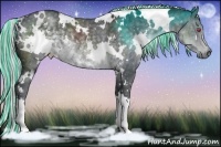 Horse Color:Painted White Spotted Silver Black Chinchilla
