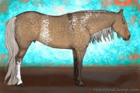 Horse Color:White Spotted Silver Brown Dun