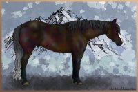 Horse Color:Midnight Bay 