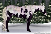 Horse Color:Plaid  Liver Red Dun Ice Roan Splash 