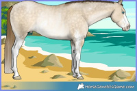 Horse Color:Chocolate Buckskin Pearl Dun Sabino Rabicano 